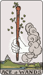 Ace of Wands 